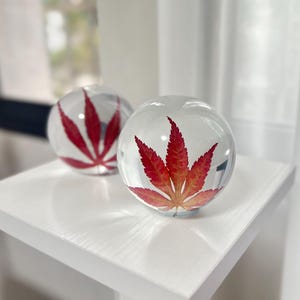 Puede incluir: Dos esferas de vidrio transparente, cada una con una vibrante hoja de arce roja. Las esferas están sobre una mesa blanca, mostrando los intrincados detalles del follaje preservado. El fondo está suavemente borroso, resaltando las esferas.