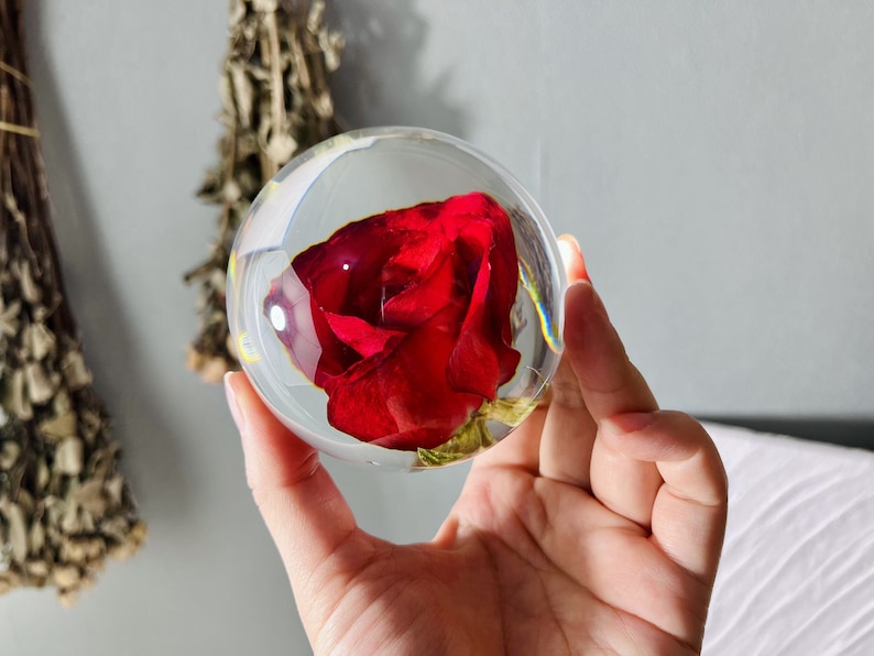 May include: A single red rose preserved inside a clear glass sphere.