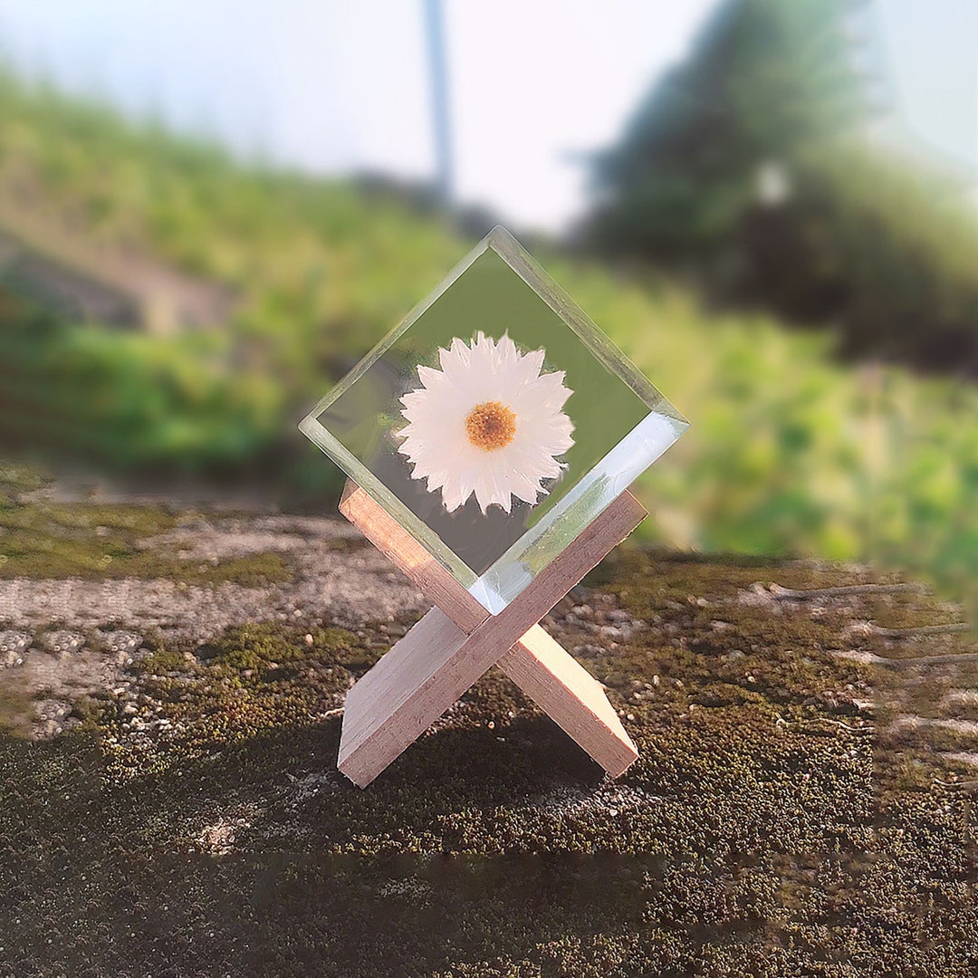 Daisy Flower Gifts White Daisy Decor Paper Daisy Sunray Flower