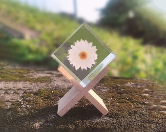Resin Daisy Flower Decor: Everlasting Sunray Flower Gift