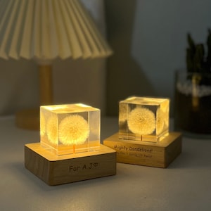 Real Dandelion Seeds 5cm Cube  Paperweight Preserved Flower Ornaments Home Desk Decor Personalized Birthday Christmas Gifts for family
