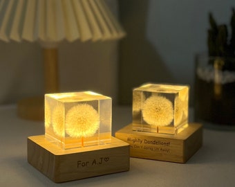 Real Dandelion Seeds 5cm Cube  Paperweight Preserved Flower Ornaments Home Desk Decor Personalized Birthday Christmas Gifts for family