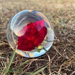 Preserved Red Rose Resin Sphere: Romantic Valentine's Gift Perfect Holiday Gift of Love image 6