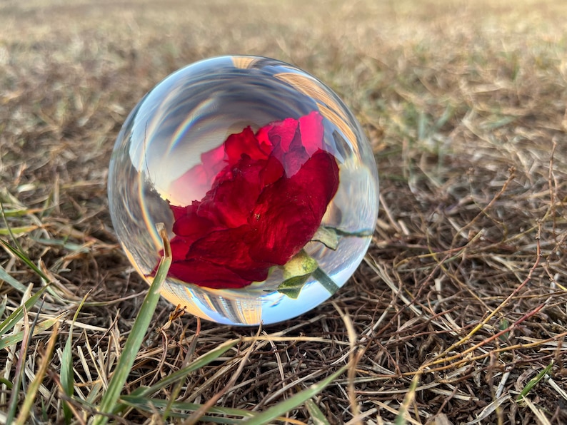 Preserved Red Rose Resin Sphere: Romantic Valentine's Gift Perfect Holiday Gift of Love image 6