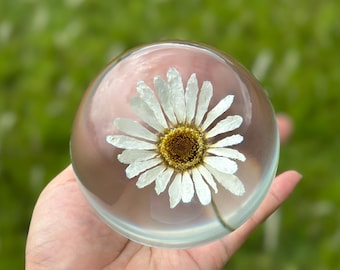 9cm Large Dried Daisy Resin Crystal Ball: Nature-Inspired Paperweight Everlasting Gift for her