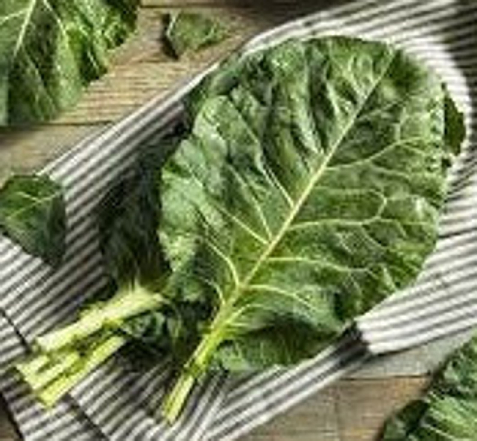 Collard Greens Zone 8B Grown in the Shade FREE Garden Etsy