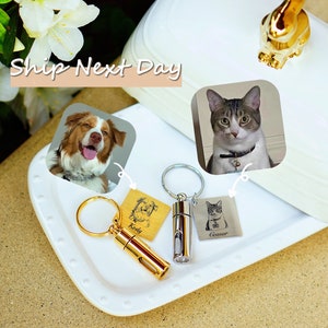 Pet Fur Memorial Gift Keychain Dog Keepsake for Ashes and Hair Pet Owner Gift