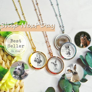 Collar de recuerdo de joyería conmemorativa para mascotas, collar conmemorativo de piel de perro, recuerdo con grabado de retrato, regalo conmemorativo de gato