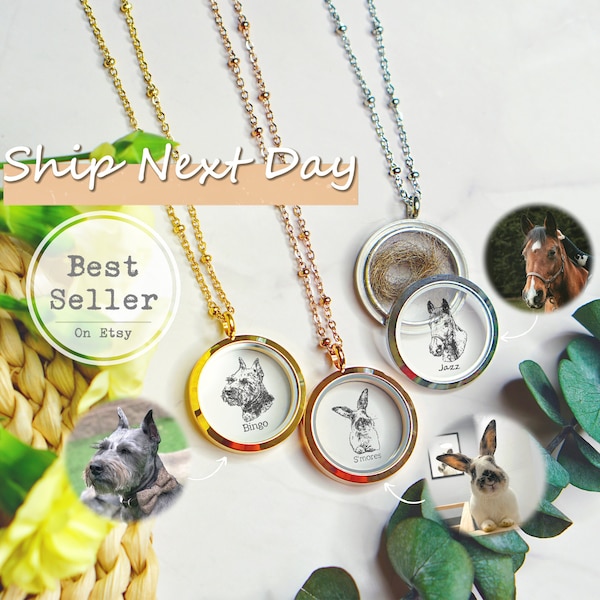 Pet Memorial Jewelry Keepsake Necklace Dog Fur Memorial Necklace Keepsake with Portrait Engraving Cat Memorial Gift