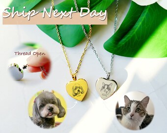 Collar conmemorativo con retrato grabado de mascota: urna conmemorativa personalizada, regalo de condolencia
