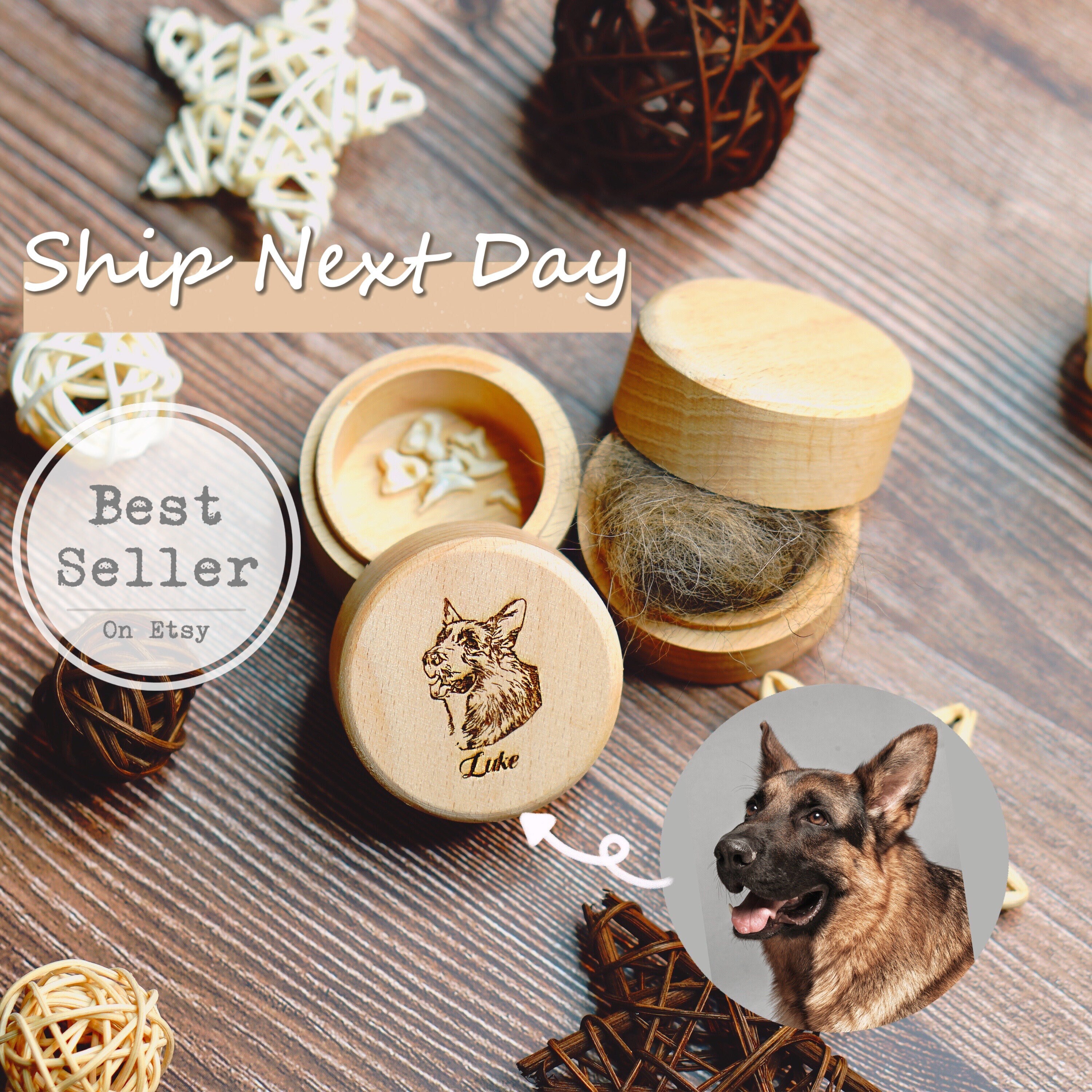 Puppy's first tooth best sale box