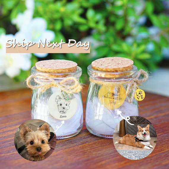 Custom Pet Portrait Memorial Jar: Dog & Cat Fur Keepsake Urn