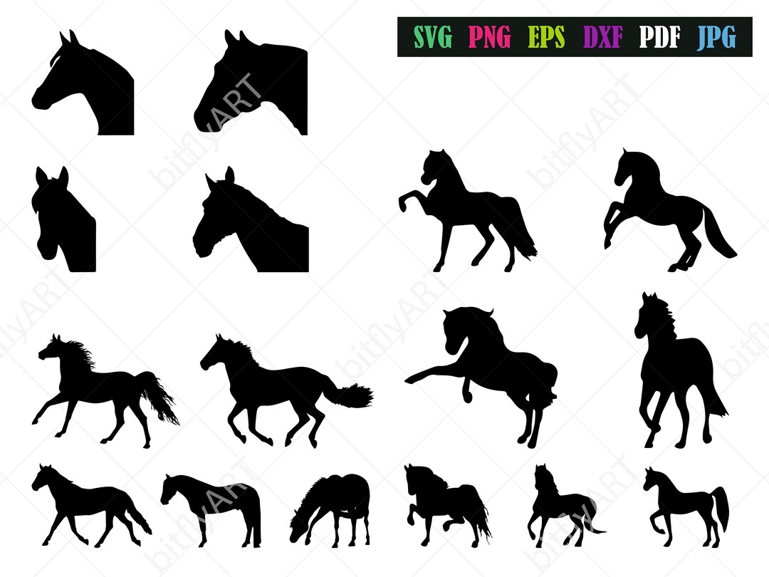 Horses Silhouette SVG Bundle Horse SVG Pack Animals PNG / Clip - Etsy