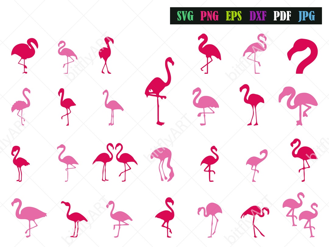 Buy Flamingo Silhouette SVG Bundle Bird SVG Pack Pink Animal PNG Online