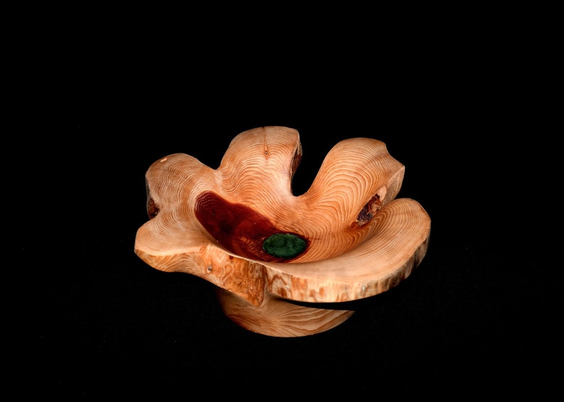 Natural Wooden Decorative Bowl | Unique Centerpieces for Interio Natural Wooden Decorative Bowl | Unique Centerpieces for Interio