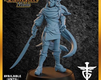 Hassan'dil, Male Elf Ranger Miniature, Eladrin Rogue with Dual Swords for Fantasy RPG