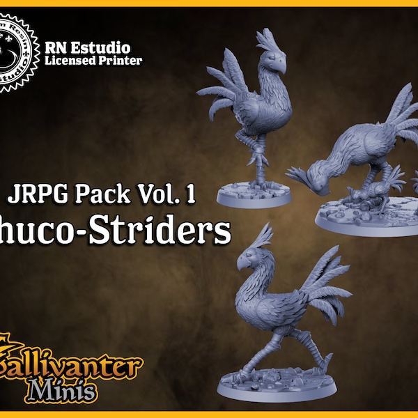 Chuco-Strider, Terror Birds | RN Estudio: Classic JRPG Vol.01 | 28mm 32mm 35mm 40mm Resin Gaming Figurine