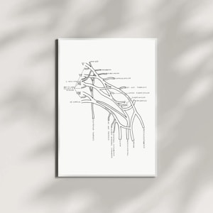 Puede incluir: Una impresión enmarcada con una ilustración anatómica en blanco y negro de los nervios. La obra de arte muestra un diagrama detallado con nervios y estructuras anatómicas etiquetadas. La impresión está sobre un fondo blanco.