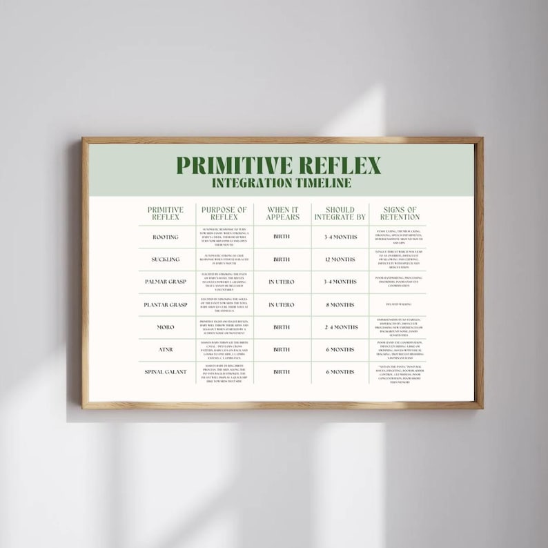 Reflex Text Primitive Reflex Poster - Etsy