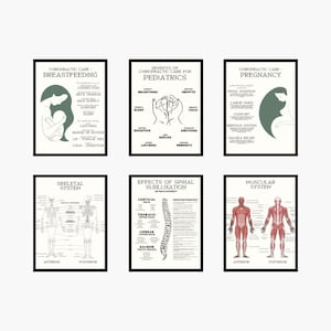 Op de afbeelding: Zes ingelijste educatieve posters. De posters behandelen onderwerpen als borstvoeding, kindergeneeskunde, zwangerschap, het skeletstelsel, spinale subluxatie en het spierstelsel. Elke poster heeft een zwart frame en een witte achtergrond met illustraties en tekst.