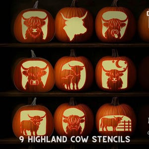 May include: Nine orange pumpkins with Highland cow stencil designs. The pumpkins are arranged on shelves, with various cow illustrations. The text "Printable Stencils" is on the left, and "9 Highland Cow Stencils" is at the bottom.