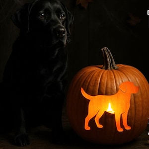 May include: A carved orange pumpkin with a dog silhouette, lit from within, sits beside a black Labrador. The pumpkin is a Halloween decoration. The words "Printable Stencils" are printed on the left side of the image.