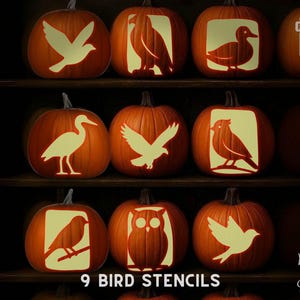 Può includere: Nove zucche arancioni con disegni di stencil di uccelli, tra cui una colomba, un'aquila e un gufo. Le zucche sono disposte su uno scaffale scuro. Il testo a sinistra recita "PRINTABLE STENCILS" e in basso "9 BIRD STENCILS".