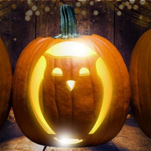 Cute Owl Pumpkin Carving Stencil Template Pattern Halloween PRINTABLE