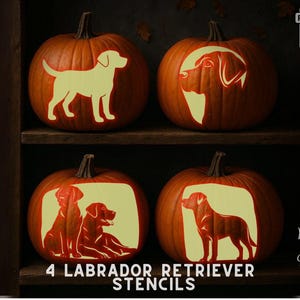 May include: Four carved pumpkins with Labrador Retriever stencil designs. The pumpkins are orange with the dog silhouettes in a lighter color. The text "4 Labrador Retriever Stencils" is at the bottom.