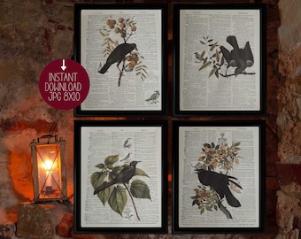 Crow Print Raven Print Wall Art Decor Sign Poster PRINTABLE Halloween