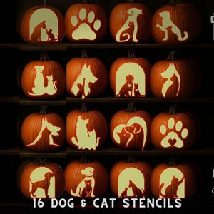 May include: A display of orange pumpkins featuring dog and cat stencil designs. The stencils depict dogs, cats, paw prints, and heart shapes. The text "16 DOG & CAT STENCILS" is displayed at the bottom of the image.