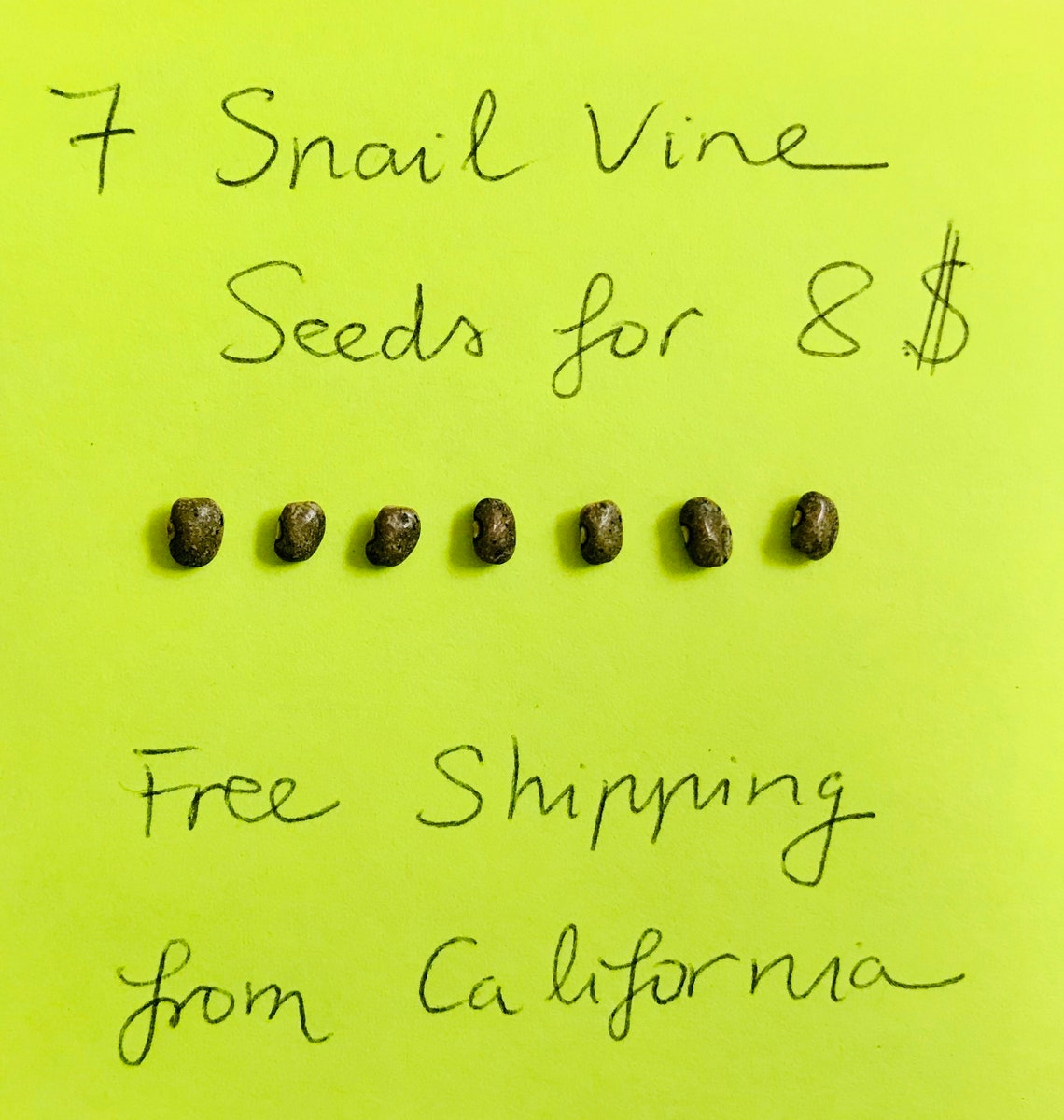 7 Snail Vine Seeds for Sale 7 Seeds / Package Etsy