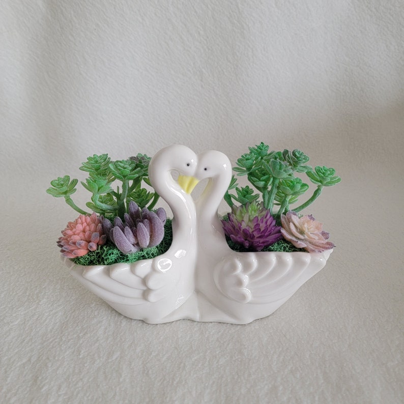 Animer Classic and price revision Lovely Swans Fake Succulent Desk Decoration Decor D Room