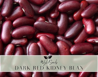 Frijol rojo oscuro seco / Semillas / Sin OGM / Orgánico / Cultivado en EE. UU.