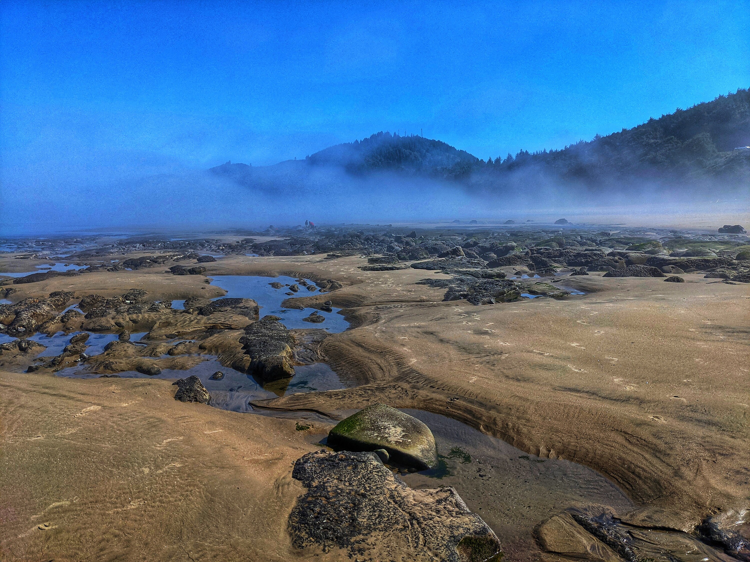 oregon tidal pools oregon tidal pools