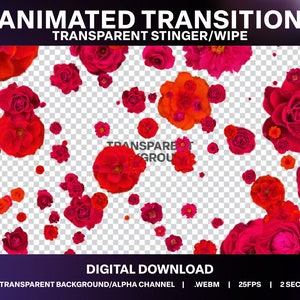 Red Roses Animated Transition | Valentine twitch Stream Transition | Valentines Day flowers Stream Wipe | Romantic Stream Stinger