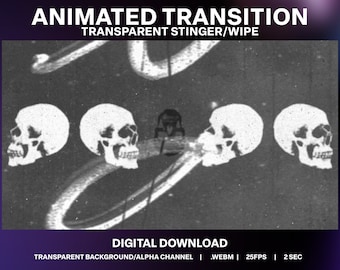 Halloween Skull Animated Stream Transition | Creepy Gothic Film Wipe | Glitch Grunge Stinger | Horror VHS Twitch Decoration | Punk Video