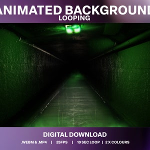 Creepy Scene Animated Looping Background | Horror Room Twitch Stream Decoration | Scary Tunnel Video Overlay | Haunted Hall Stream Scene