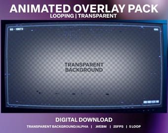 Animerad CRT Cyber Glitch Overlay | Retro VHS Stream Decor (digital nedladdning)