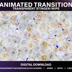 White Roses Animated Stream Transition: Romantic Stinger (Digital Download)