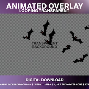 May include: Animated overlay with bats flying across a transparent background. The text "TRANSPARENT BACKGROUND" is visible in the centre of the image. The text "ANIMATED OVERLAY LOOPING TRANSPARENT" is at the top of the image. The text "DIGITAL DOWNLOAD TRANSPARENT BACKGROUND/ALPHA | .WEBM | 25FPS | 2,3 & 5 SECOND VERSIONS | 8X DESIGNS" is at the bottom of the image.