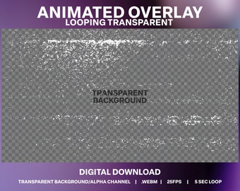 VHS Noise Animated Overlay: Retro Glitch Effect (Digital Download)