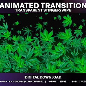 Puede incluir: Gráfico de transición animada con un patrón de hojas de cannabis verde brillante sobre un fondo negro. El texto "ANIMATED TRANSITION TRANSPARENT STINGER/WIPE" está en la parte superior. El texto inferior dice "DIGITAL DOWNLOAD" y detalles técnicos.