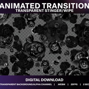 Transizione Stinger Roses Animate / Wipe Video Fiore Gotico / Twitch Kick YouTube vTuber Live Stinger / Overlay OBS Studio StreamLabs