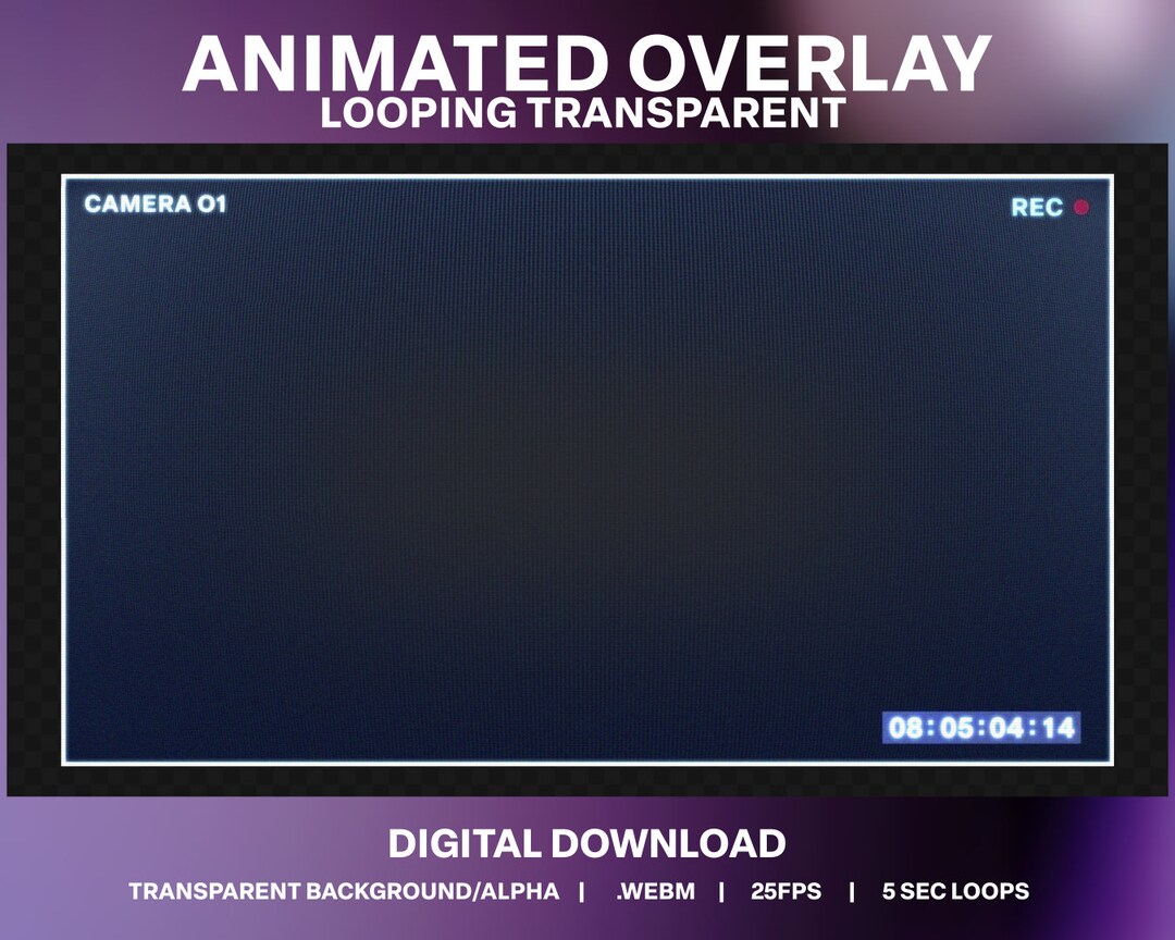 Animated CCTV Overlay Stream Pack Web Cam Border Security Footage