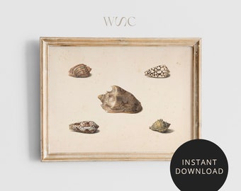 Vintage Shell Art, Vintage Still Life, Instant Download