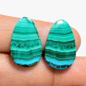 Paire de chrysocolles en malachite naturelle, 20 x 13 x 4 mm, 23 carats Paire de chrysocolles et de malachites