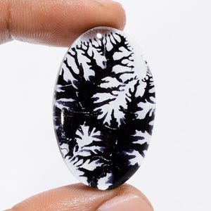 Piedra preciosa de cuarzo dendrítico doblete Forma ovalada Piedra preciosa suelta de cuarzo dendrítico Cabujón Piedra preciosa de cuarzo dendrítico doblete Piedra de parte posterior plana Regalo para ella