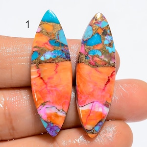 Paire de pierres turquoises naturelles en forme d'huître des deux côtés