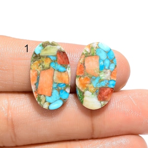Paire de pierres précieuses naturelles cabochon en turquoise huître Paire de turquoises huîtres, paire de turquoises épineuses pour faire des boucles d'oreilles cadeau pour elle